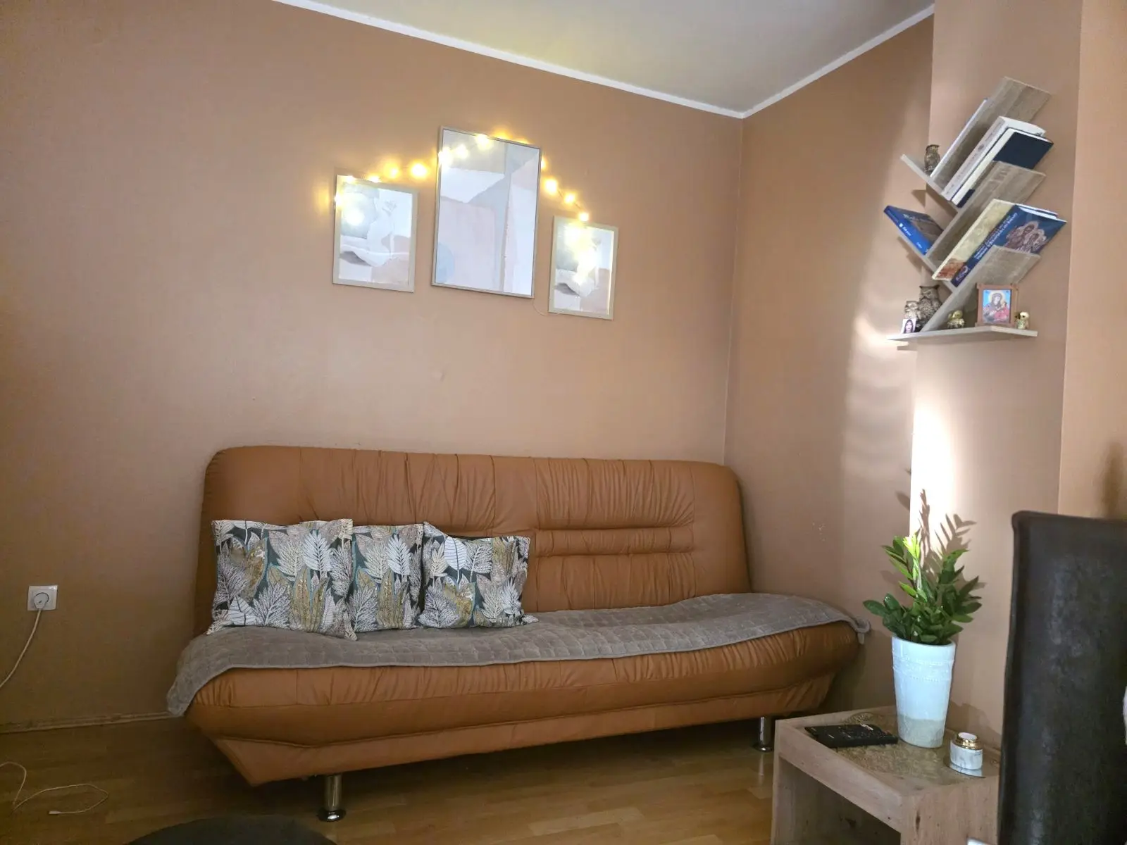 Stan - Novi Sad Centar - 9101918