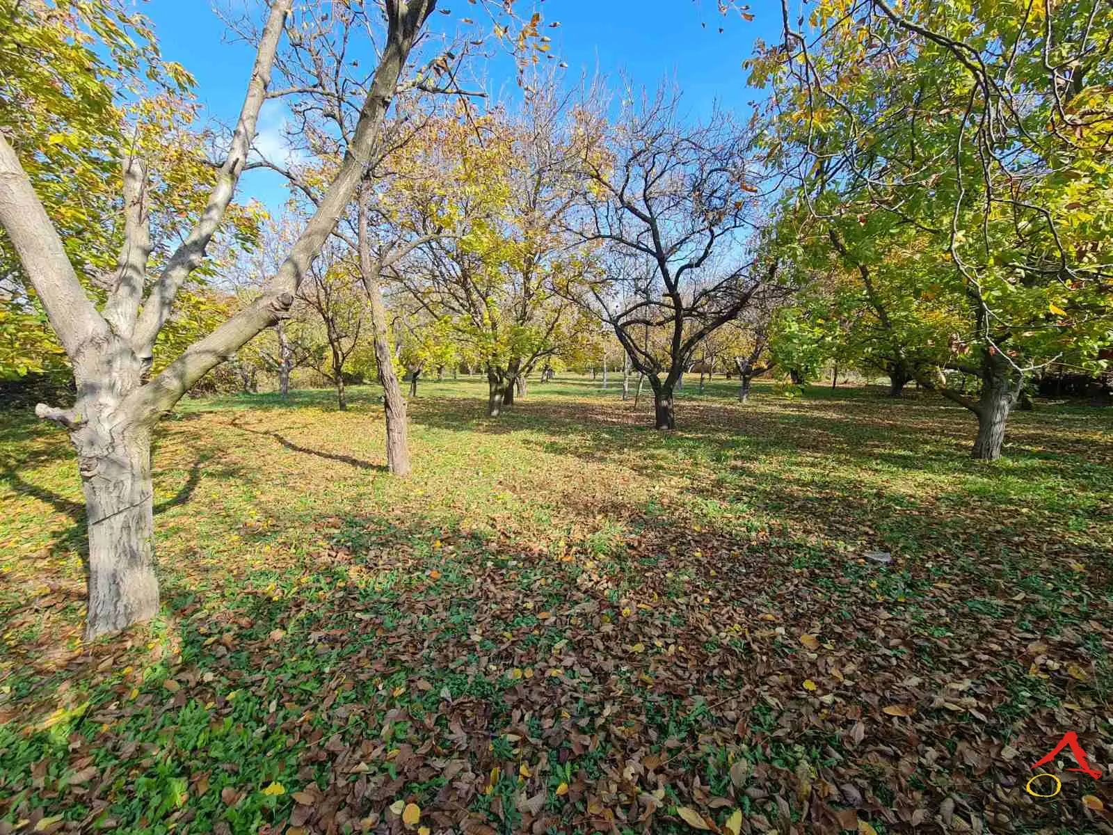 Plac - Inđija Čortanovci - 7001353