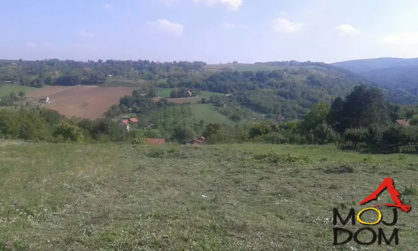 Plac - Sremska Kamenica Glavica - 7001566