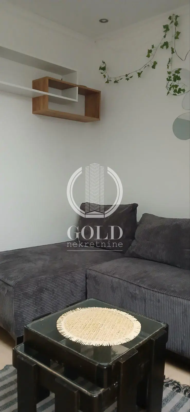 Stan - Novi Sad Spens - 204008131