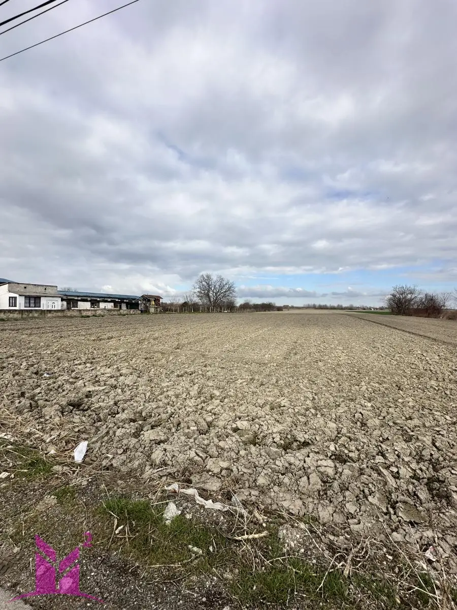 Plac - Novi Sad Klisa - 1307