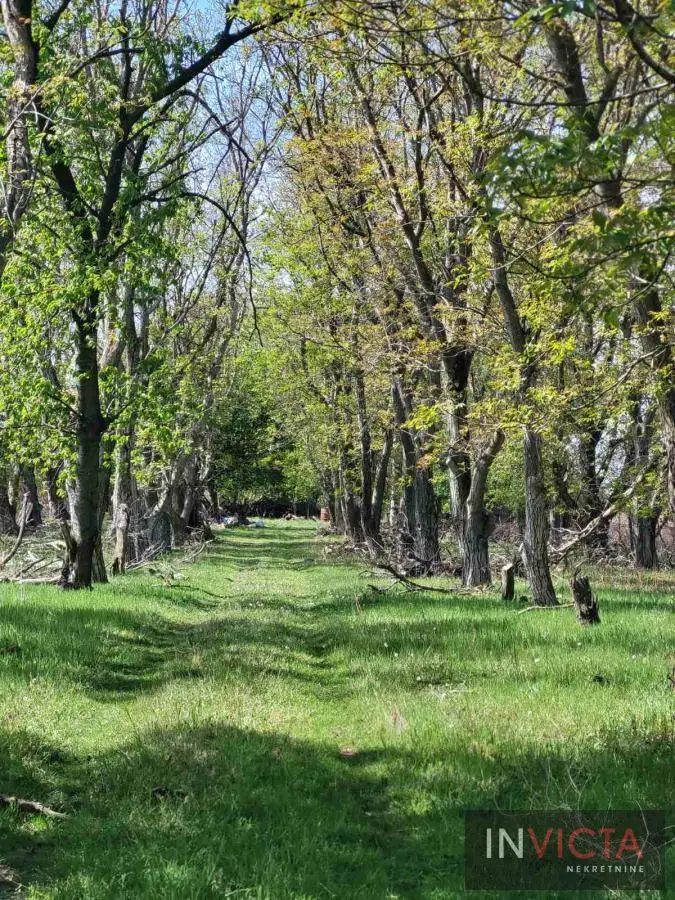 Plac - Novi Sad Čenej - 2003