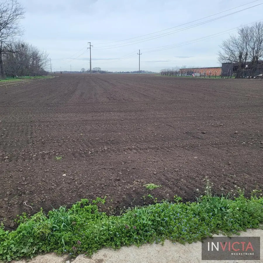 Plac - Novi Sad Čenej - 2108