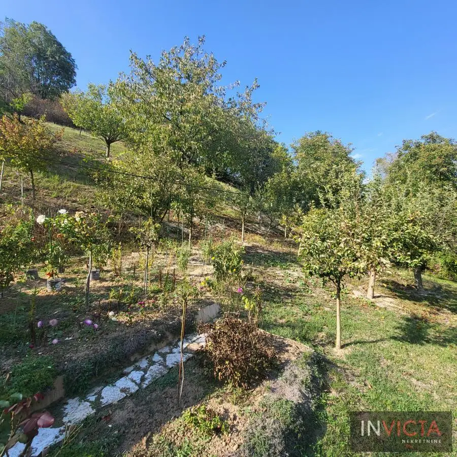 Plac - Sremska Kamenica Popovica - 2185