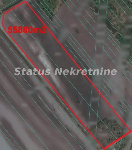 Plac - Novi Sad Klisa - 10611