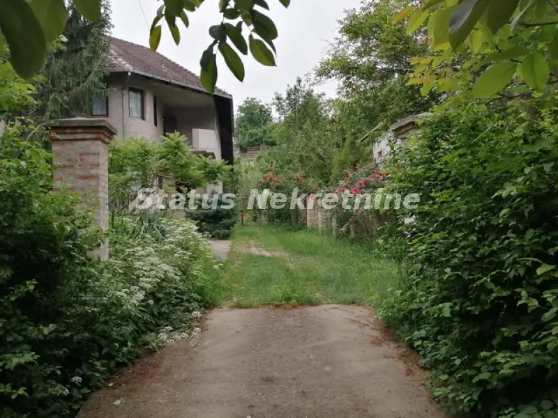 Kuća - Sremska Kamenica Institut - 16818