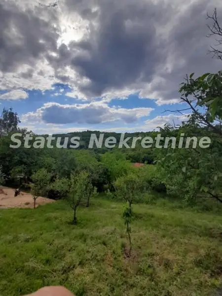 Plac - Sremska Kamenica Institut - 18071