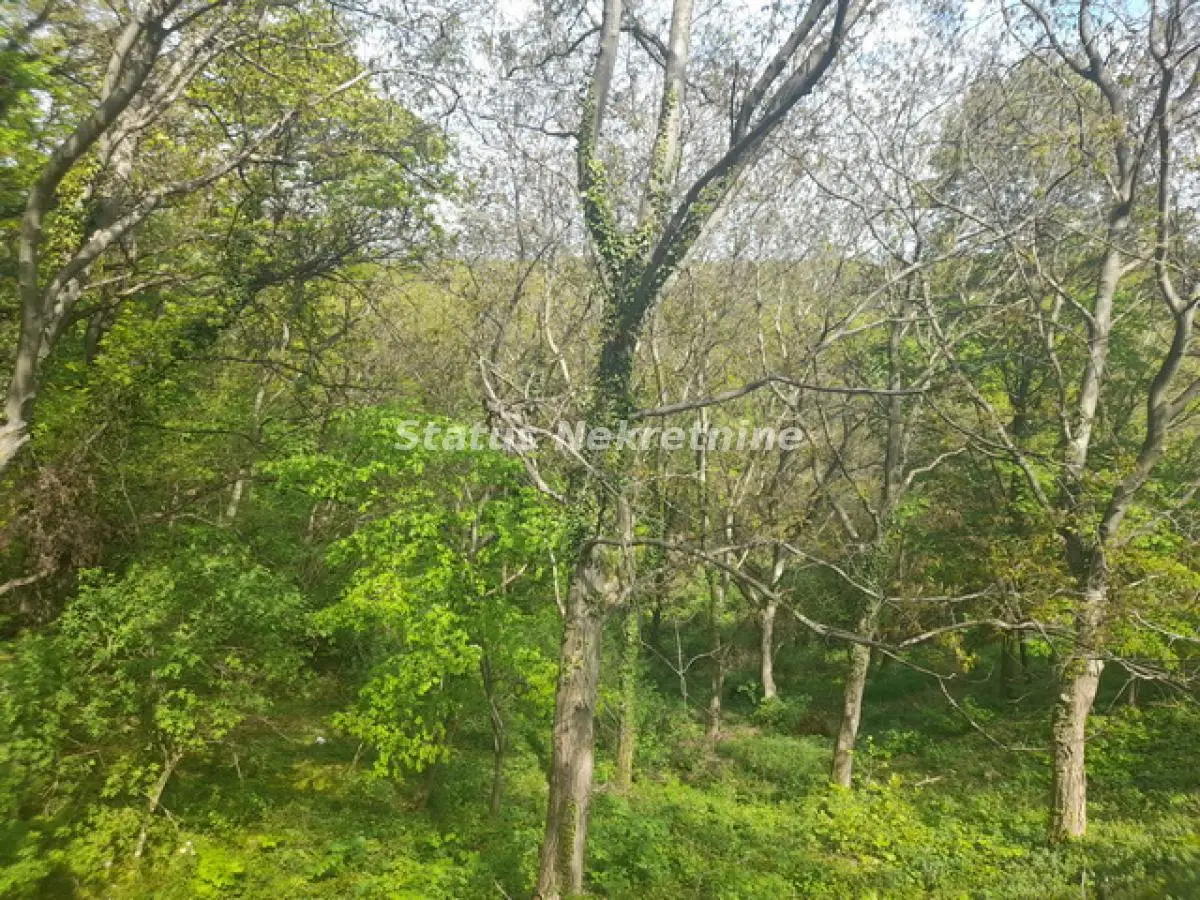 Plac - Irig Irig - 19165