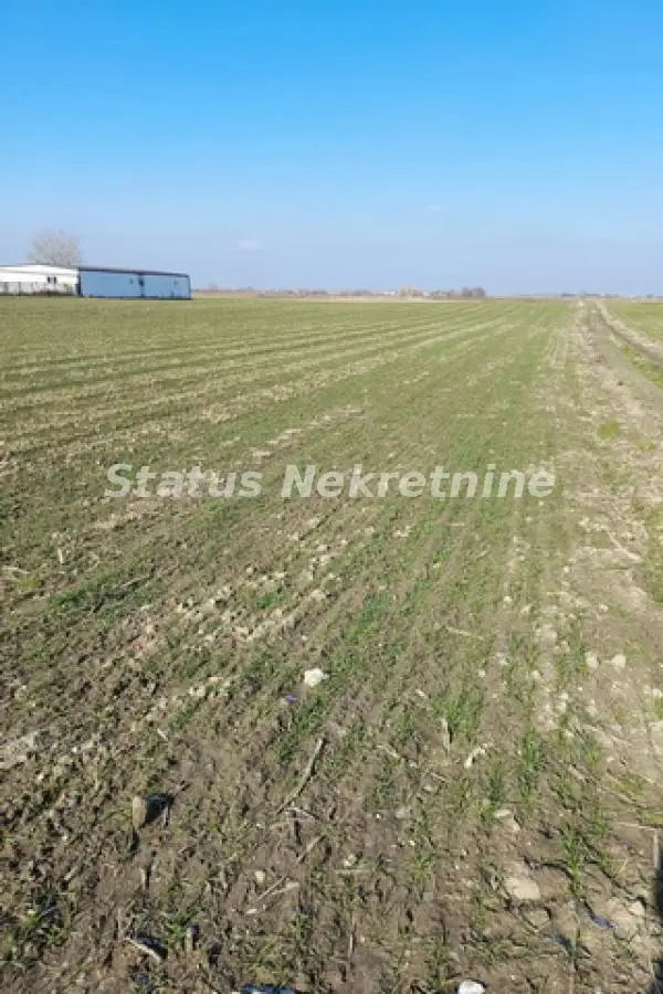 Plac - Novi Sad Futog - 20017