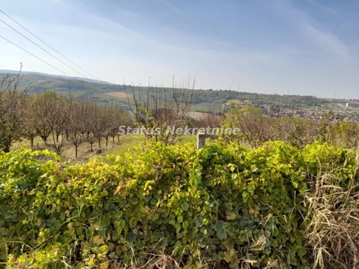 Plac - Sremski Karlovci Centar - 20650