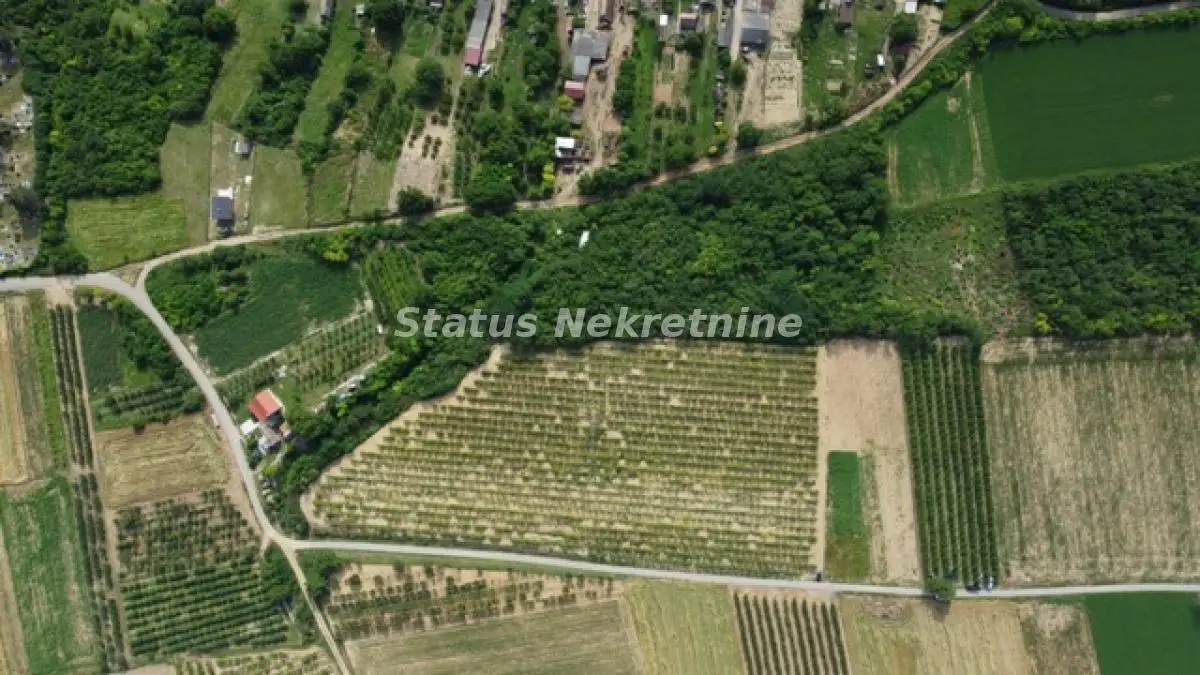 Plac - Irig Irig - 21569