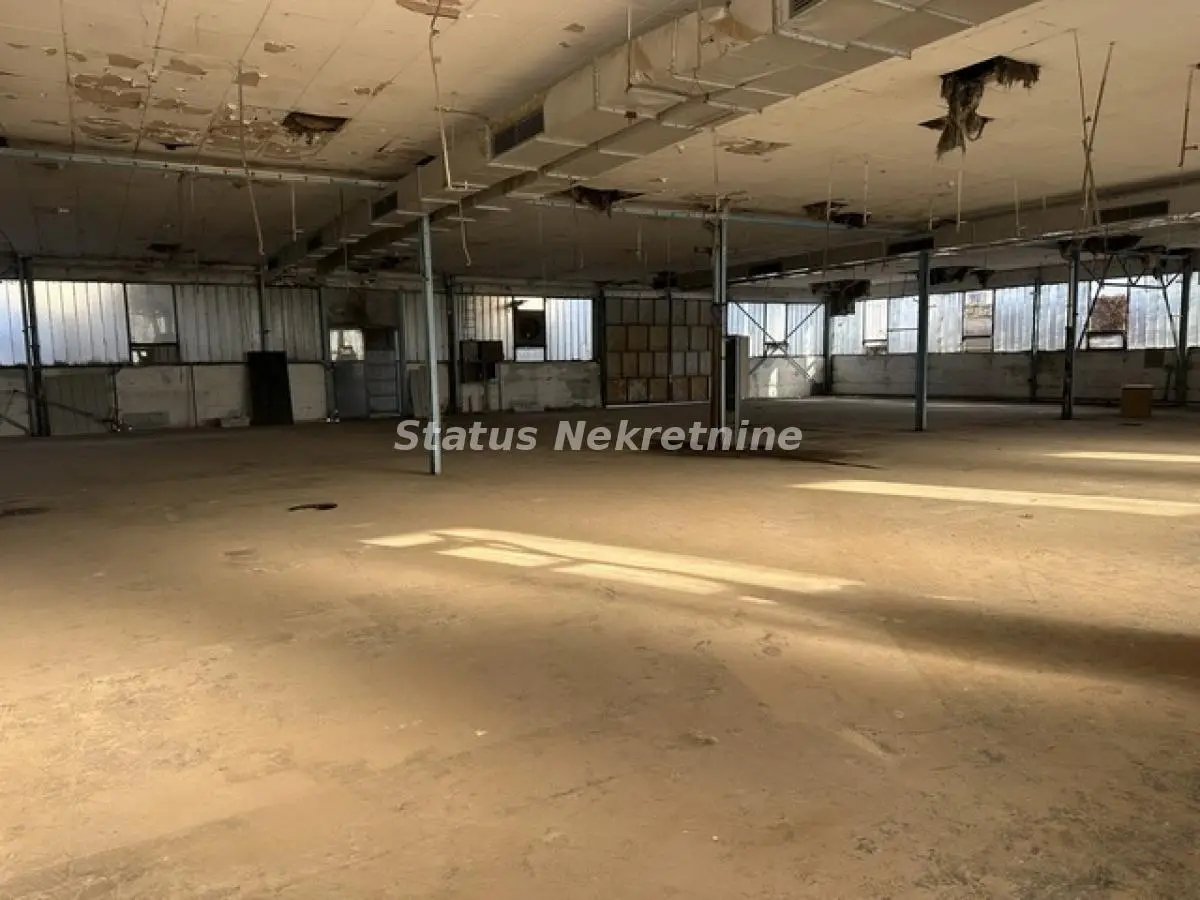 Lokal - Novi Sad Centar - 21591