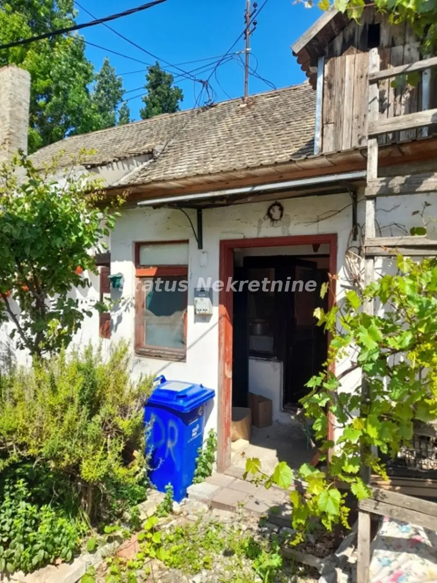 Stan - Petrovaradin (Novi Sad) Petrovaradin - 21809