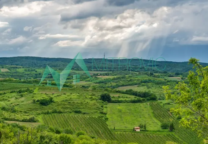 Plac - Inđija Čortanovci - 7000142
