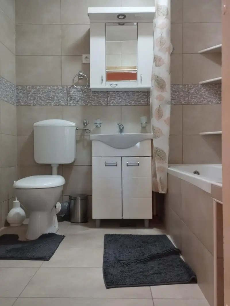 Stan - Novi Sad Bulevar Oslobođenja - 9101895