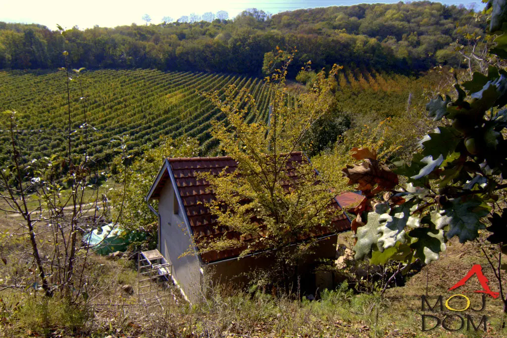 Kuća - Sremski Karlovci Stražilovo - 3004125