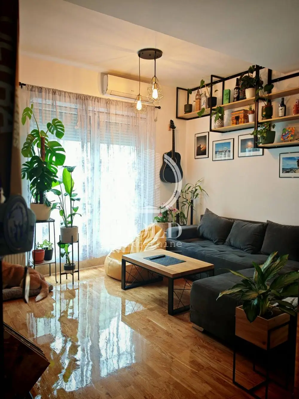 Stan - Novi Sad Grbavica - 204009582