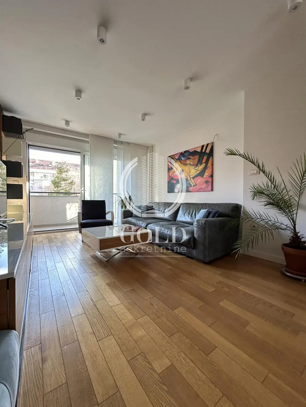 Stan - Novi Sad Centar - 204003048