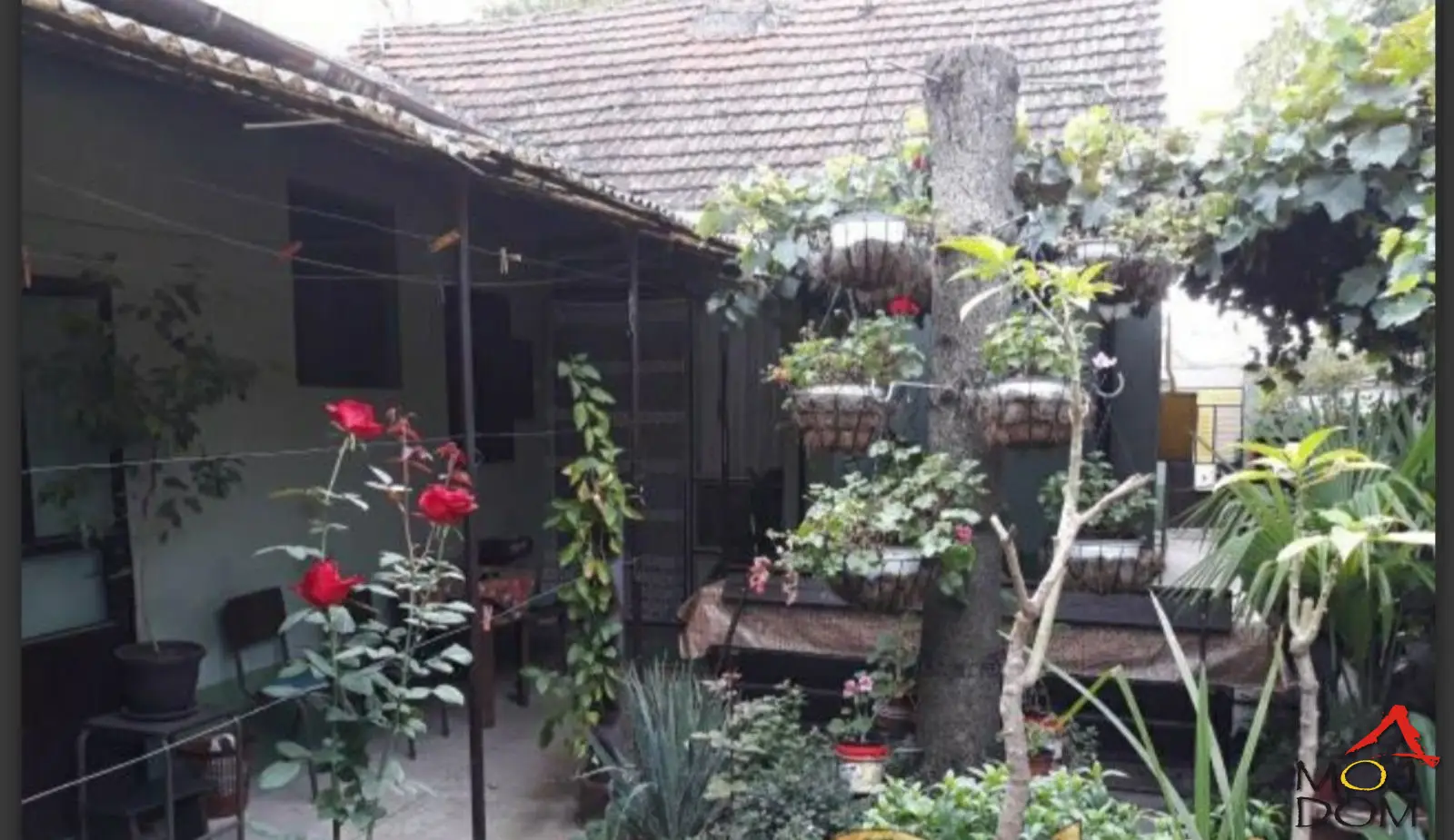 Kuća - Novi Sad Salajka - 3004251