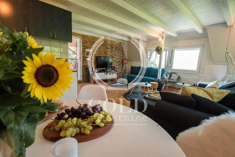 Kuća - Petrovaradin (Novi Sad) Petrovaradin - 204006070