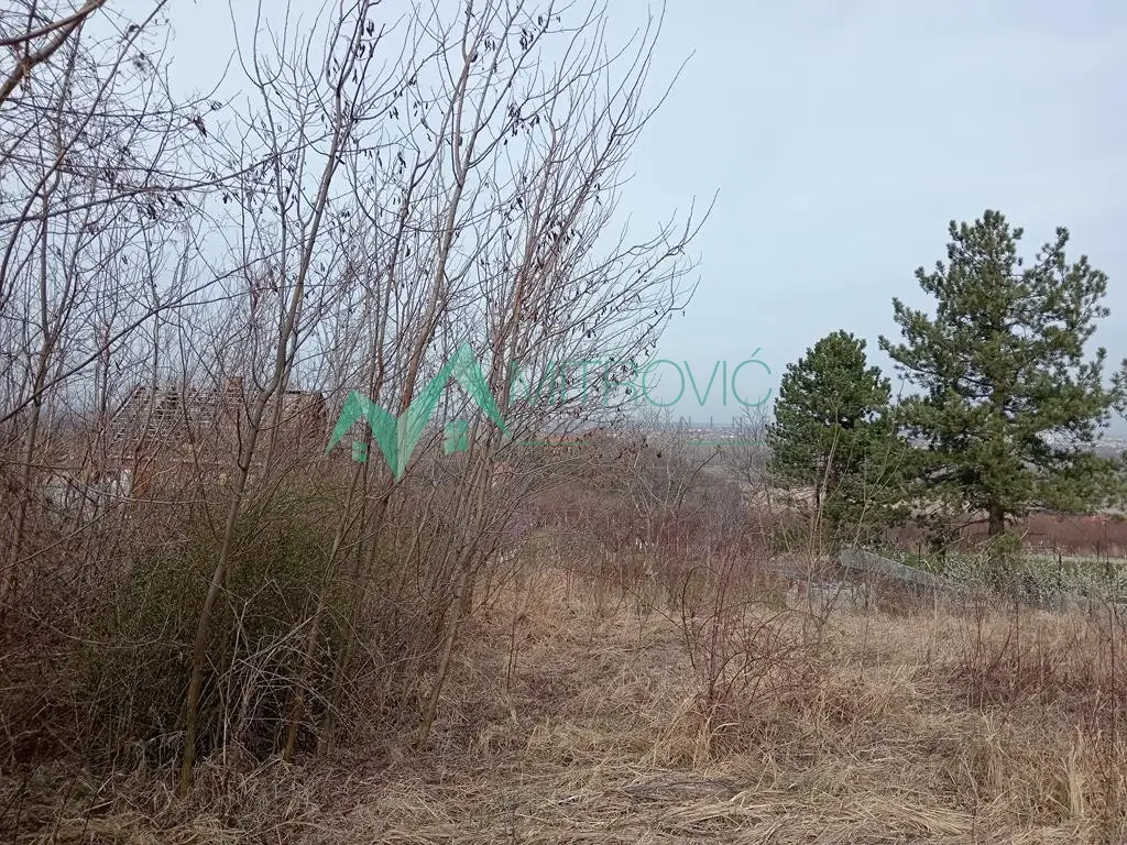 Plac - Sremska Kamenica Ledinci - 7000068