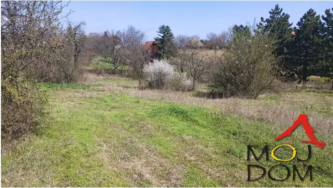 In Čortanovci we are selling a very nice large plot in the area of Nova Tidija. The plot has a wide frontage along an asphalt road, making re-parcelization possible. Electricity runs next to the plot, the road is asphalt, and water is 100 meters away. This is building land outside the construction