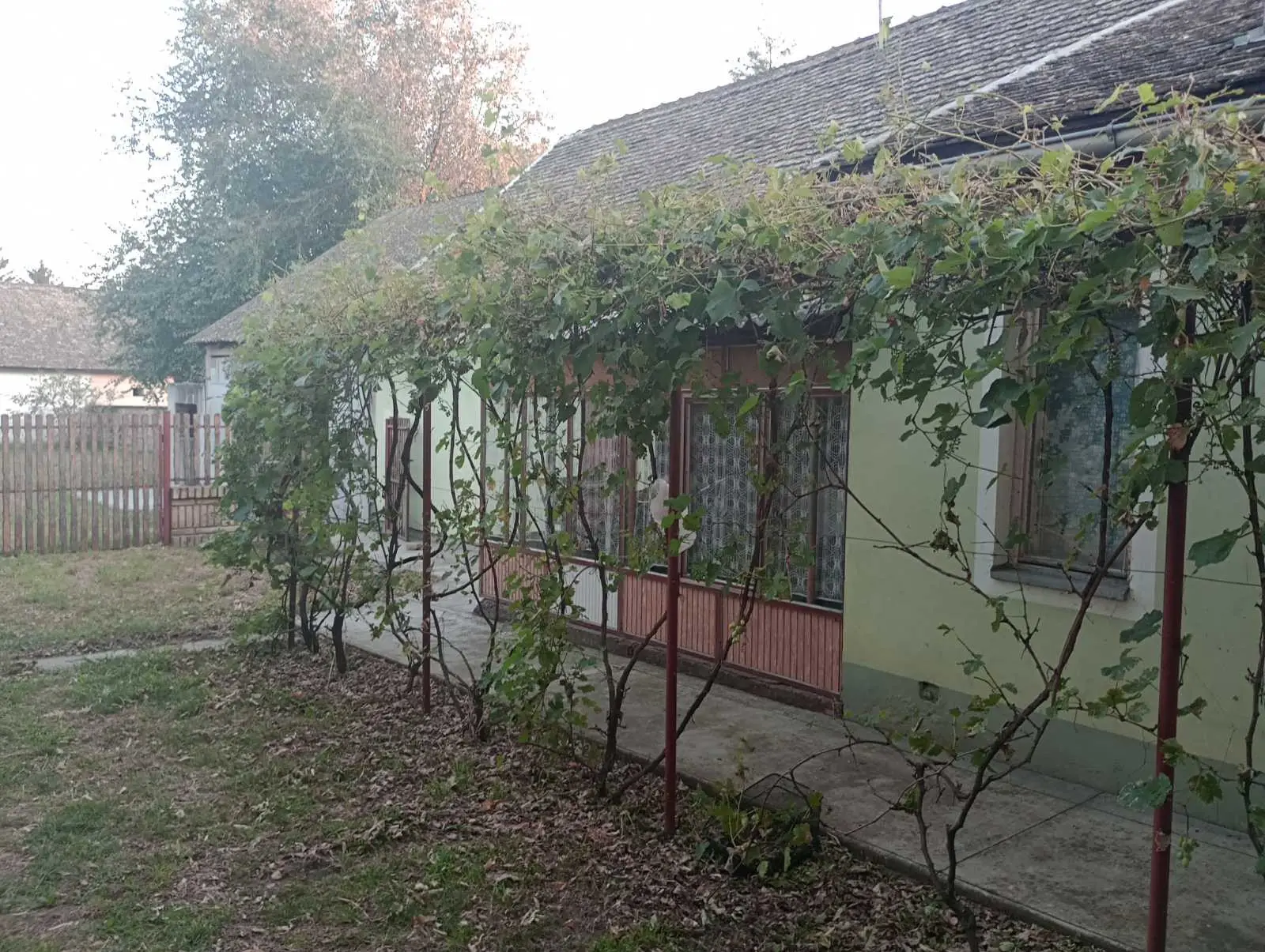 Novi Sad–Čurug, rural household with a solidly built house, comfortable, three-room with everything that such a home needs, large