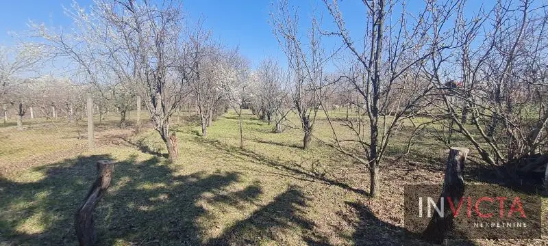 Building plots - Puckaroš, Petrovaradin