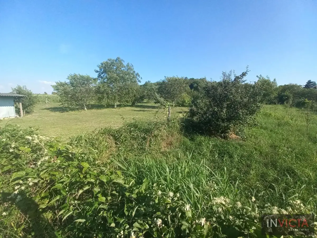 Building land–Alibegovac