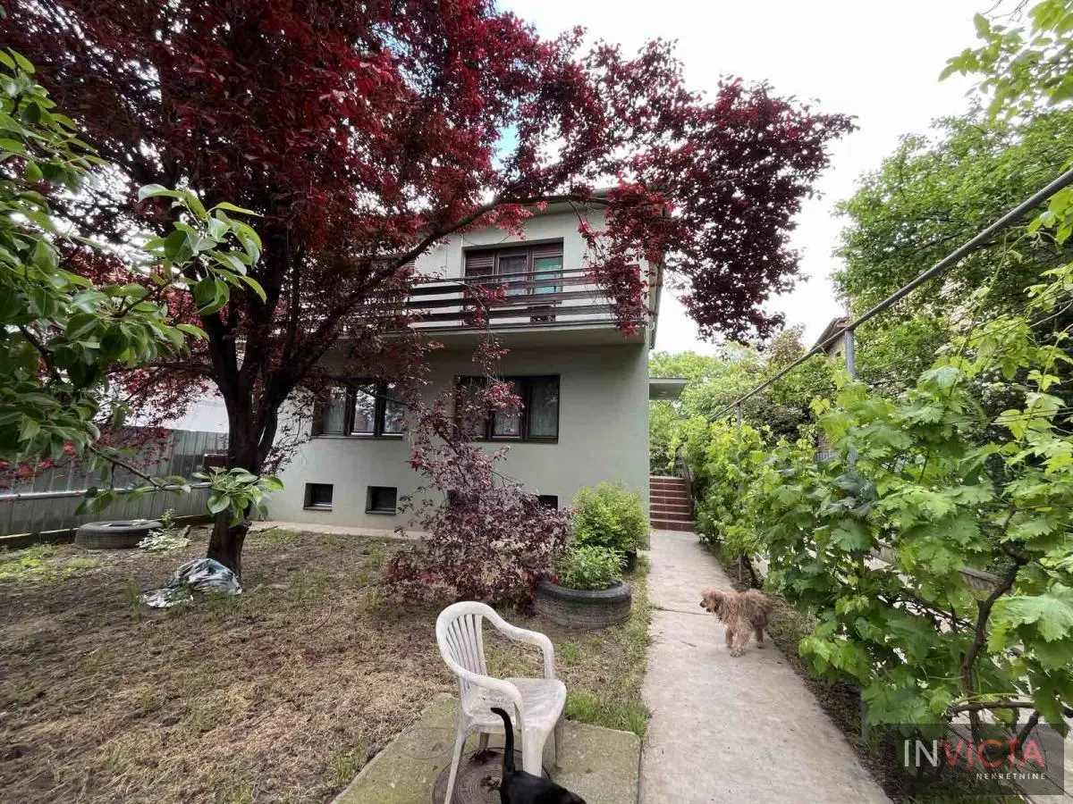 FAMILY HOUSE IN TEMERIN