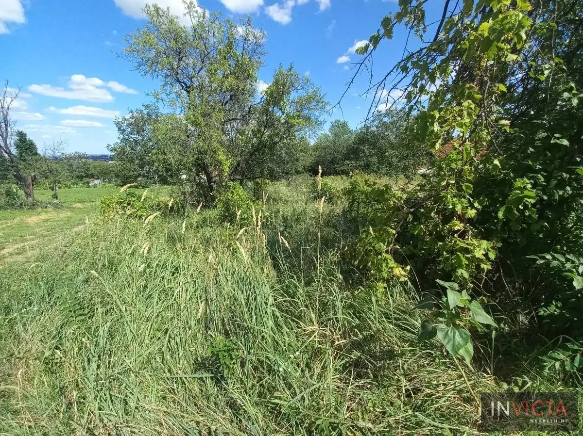 Construction plot in Bocke
