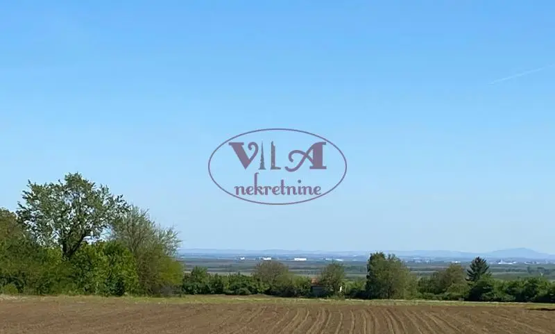 Inđija, Čortanovci, Excellent large plot in weekend settlement – can be divided into two or three plots