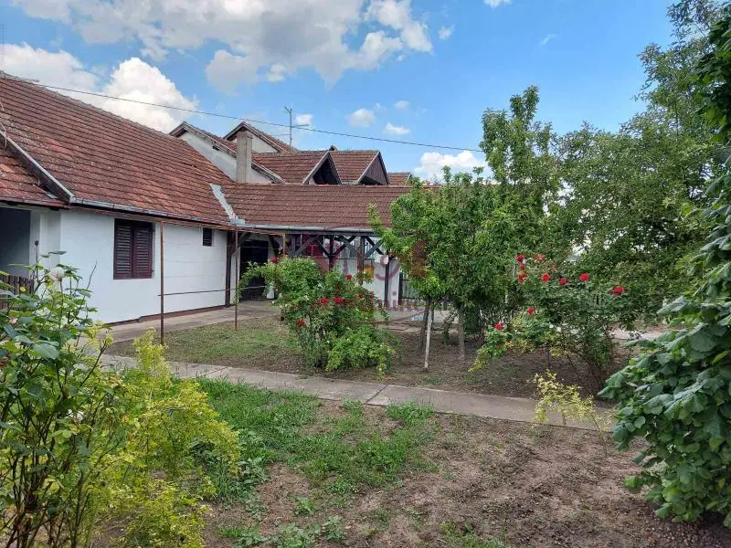 Нови Сад, Клица, Дом на большом участке 1550 м2 - подходит и как участок для инвесторов