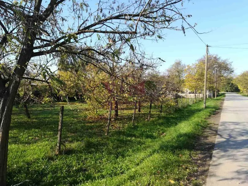 Srbobran, Comfortable farmhouse on a large plot of 23.9 ares – 500m from the settlement, next to asphalt road