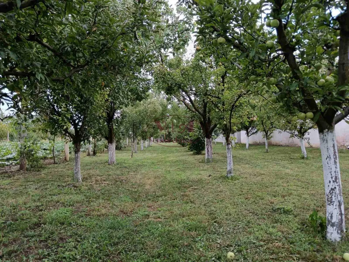 Srbobran, Nice plot with orchard and river Krivaja access – excellent investment