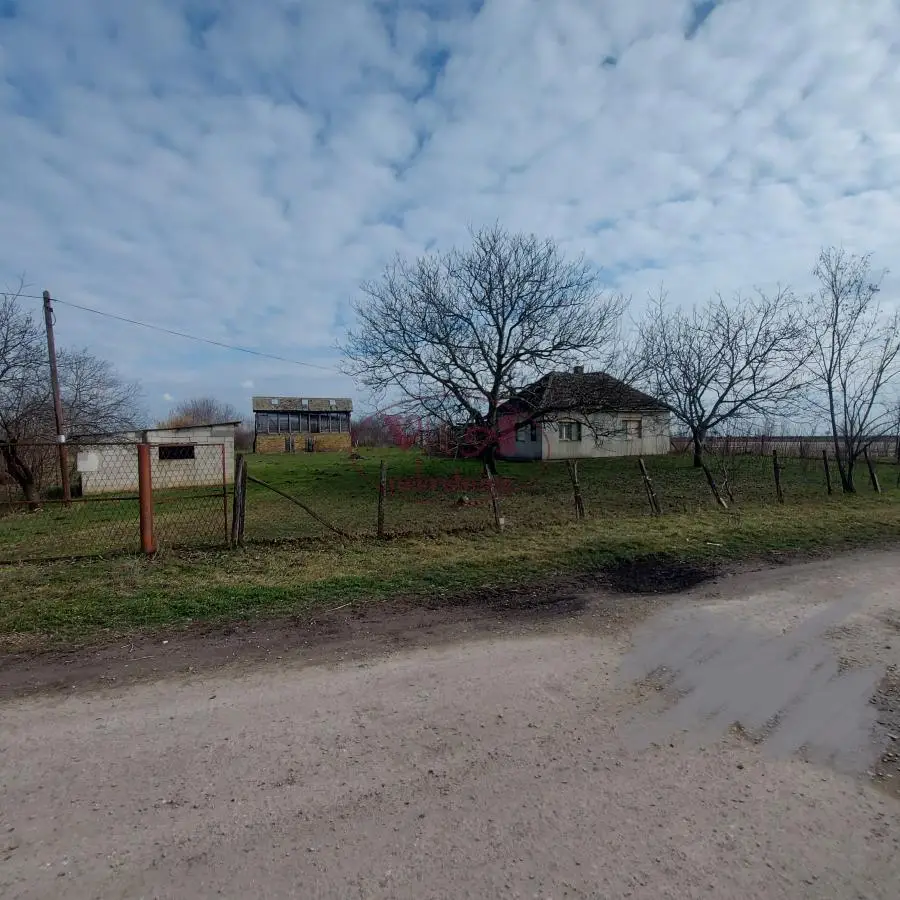 Srbobran, Turija, Comfortable country house with 4.36 kJ of agricultural land