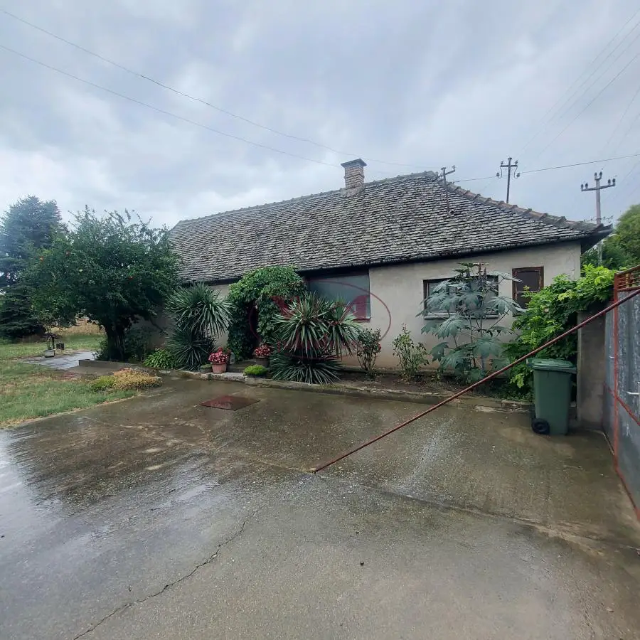 Srbobran, Nicely arranged and move-in ready house on a large plot near the center