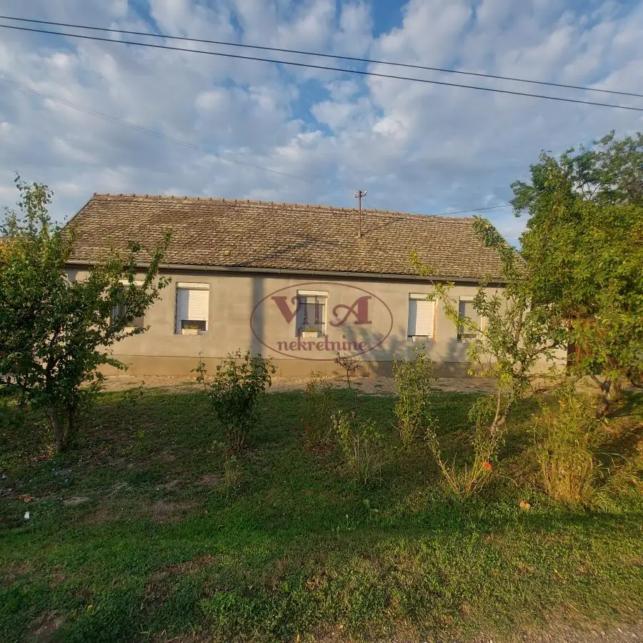 Srbobran, Turija, Comfortable house with a large leafy plot of 2448 m2