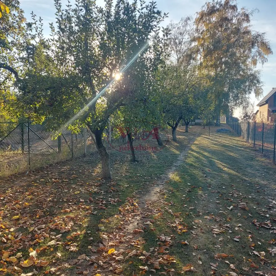 Bačko Gradište, Biserno ostrvo, Nice weekend house surrounded by greenery, with exits to two streets