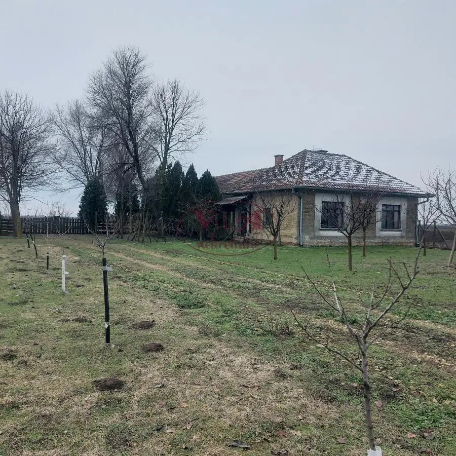 Srbobran - Bečej, Farmstead with access to Beljanska Bar and 6.9 hectares of agricultural land