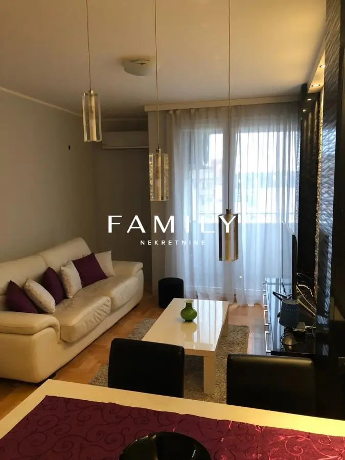 Modern and luxuriously equipped apartment on Bulevar Evrope