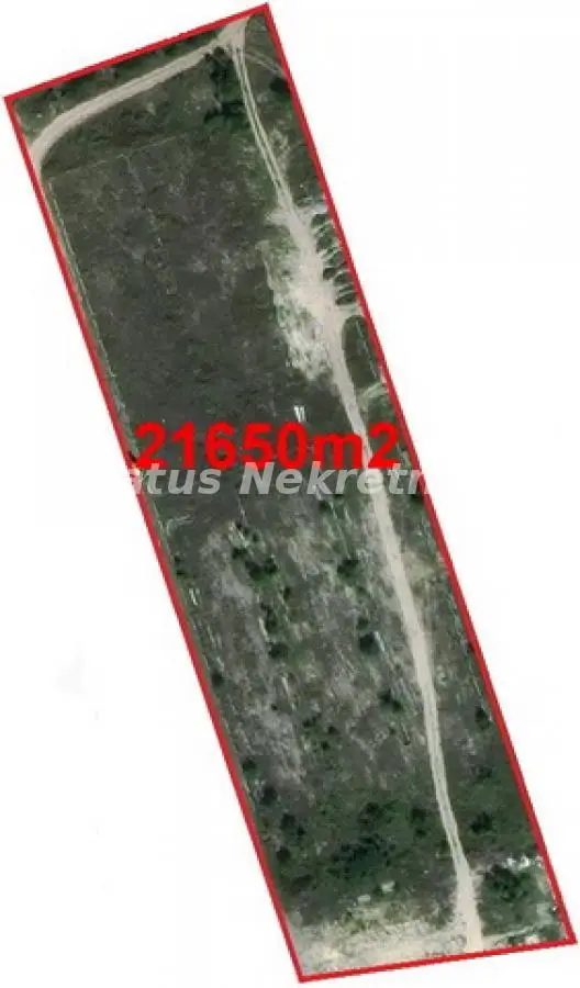 Novi Sad-Top Offer Top Location-Construction land 21650 m2 for business and halls near the highway-065/385 8880