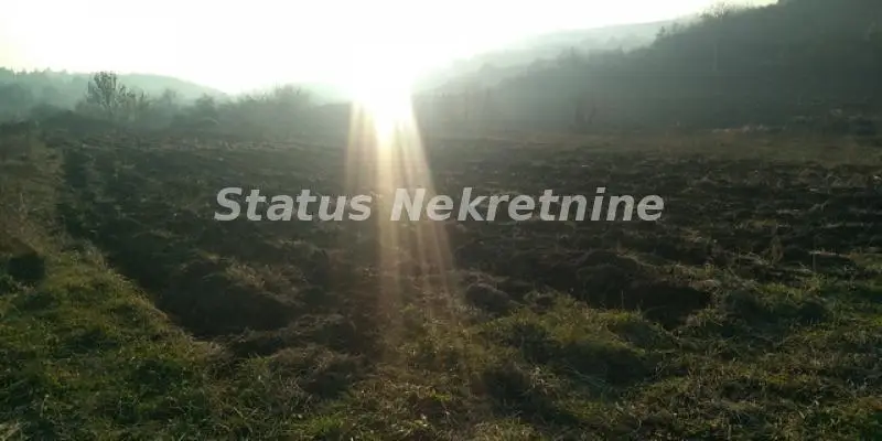 Sremski Karlovci-Stražilovo-Plot 4000 m2 in a Beautiful Area-065/385 8880