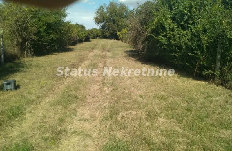 Convenient plot 2220 m2 on the main road to Bačka Palanka - 065/385 8880