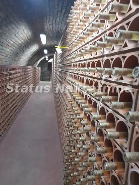 LAGUMI- SREMSKI KARLOVCI - WINERY **** EXCLUSIVE****