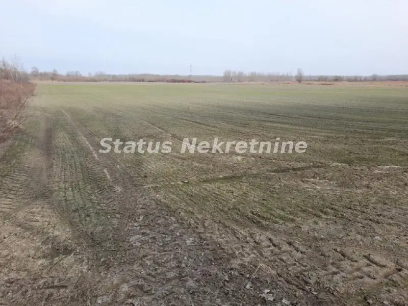 Large building plot 22270 m2 near the refinery and Kać forest - 065/385 8880