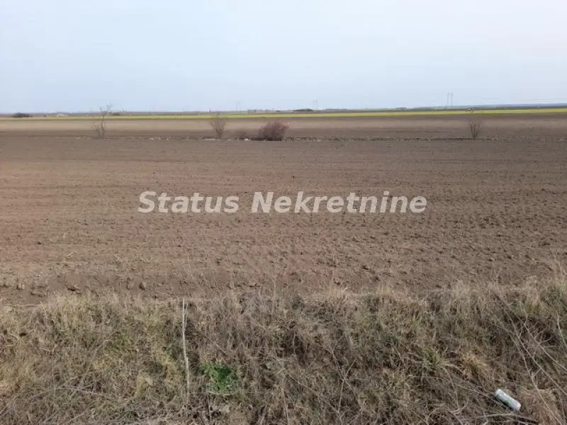 Plot 10,975 m2 on the Žabalj-Đurđevo road for Business-065/385 8880