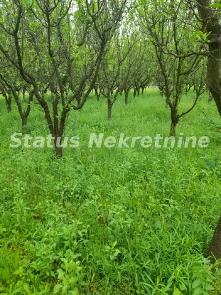 Vrdnik - Plot 1000 m2 in a peaceful area - 065/385 8880