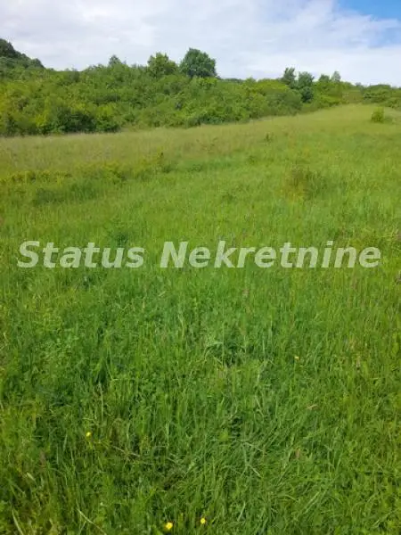 Врдник-Участок 7500 м2 рядом с Фрушка Терме-065/385 8880