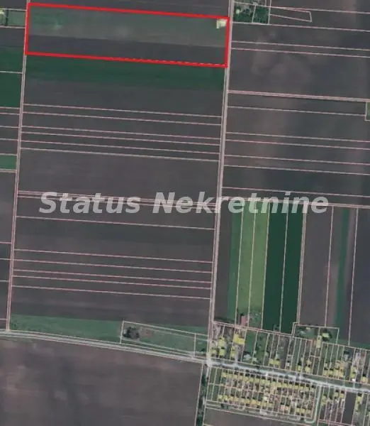 Čenej - Farm with 11 hectares of land -on asphalt